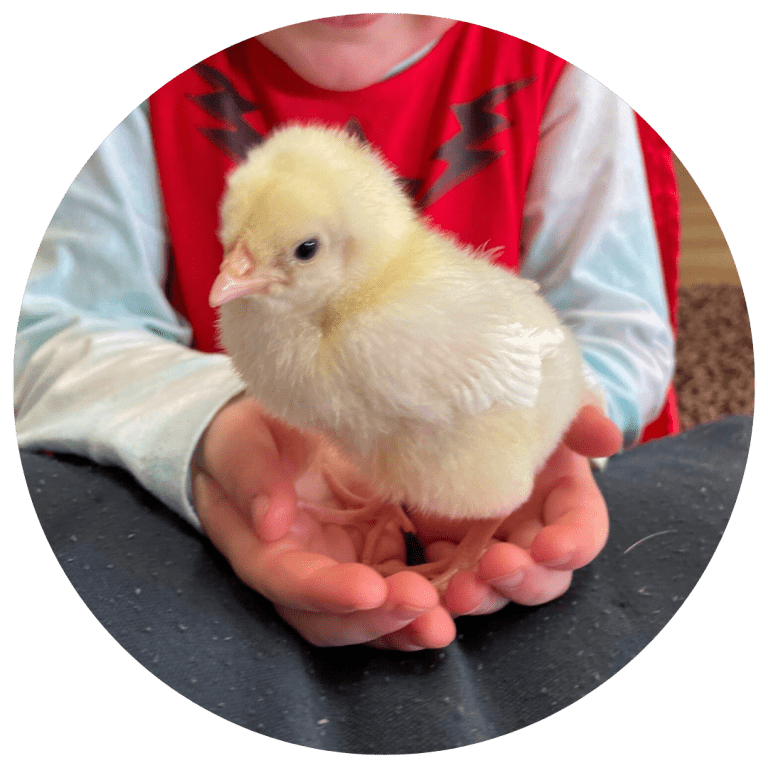 Bringing Life to Leaning - The Hive Early Learning Centres