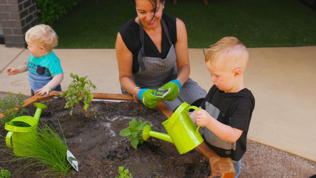 The Hive Sustainability Program