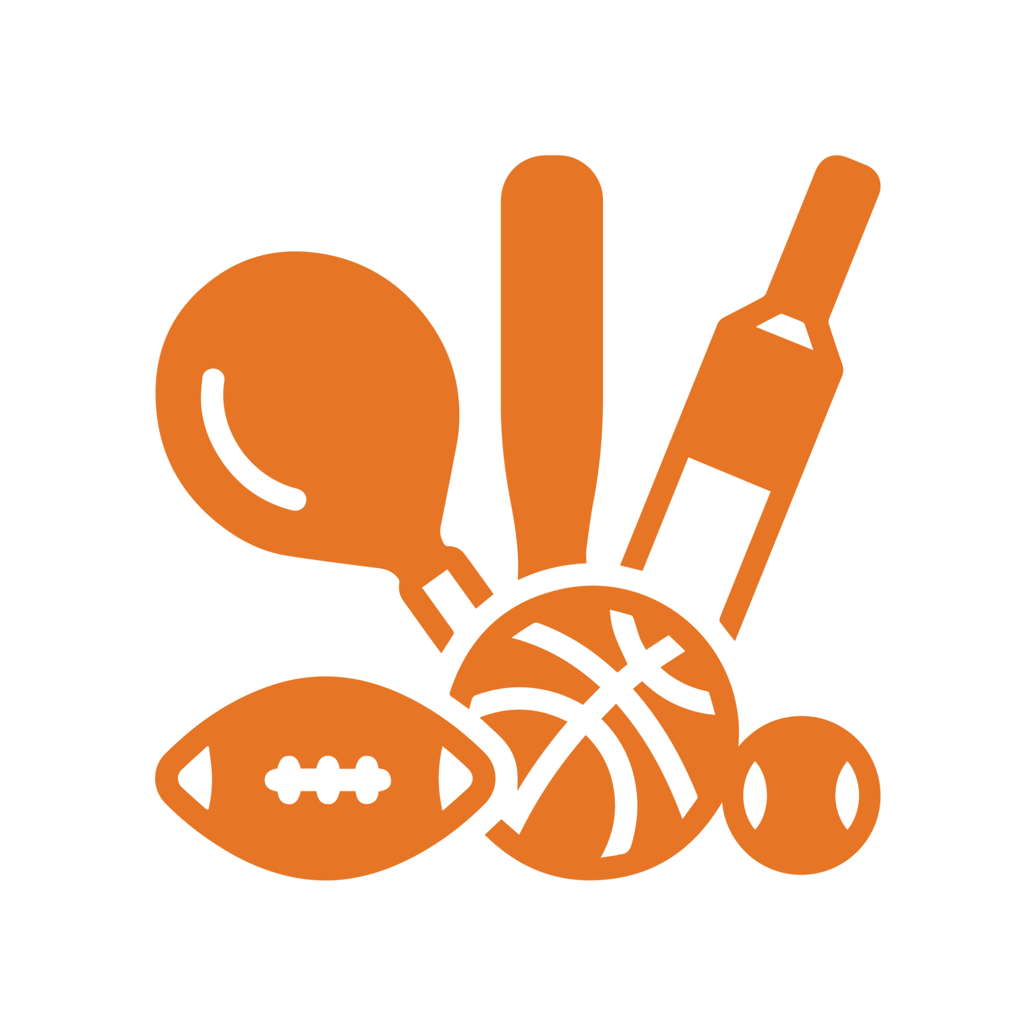 The Hive Sports Program