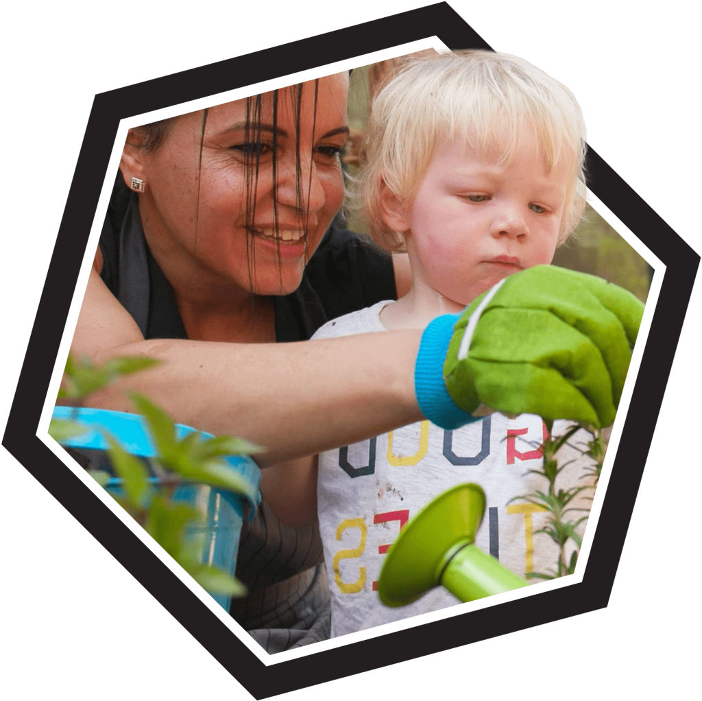 The Hive Sustainability Program